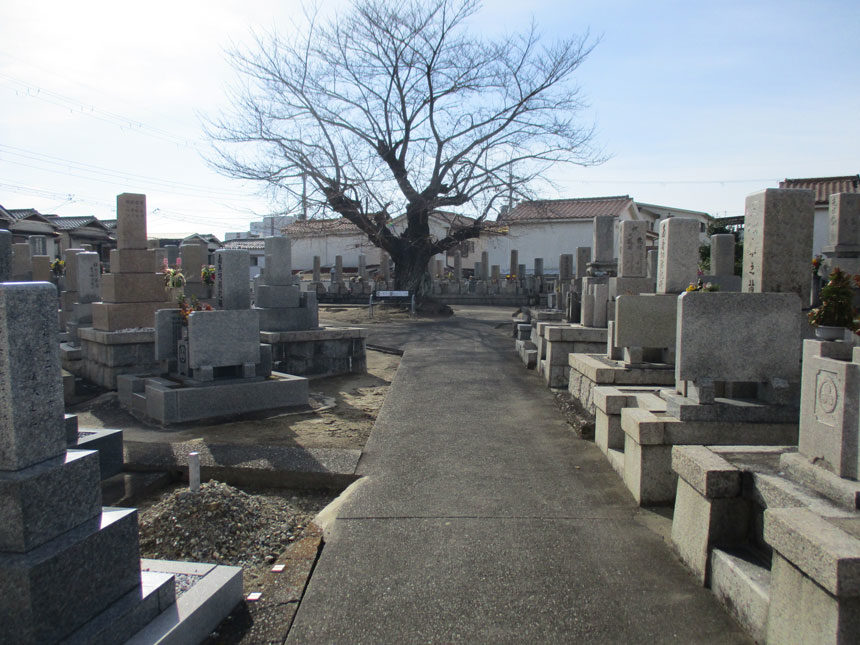 萩野墓地の写真　伊丹市にあるお墓のことなら伊丹霊園ガイド